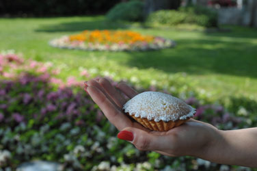 Pasticciotto al limone, vi sveliamo tutti i segreti